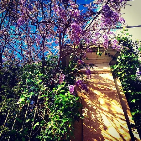 D'oc D'or D'hôtes Couette-café