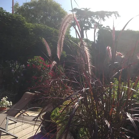 D'oc D'or D'hotes Bed & Breakfast