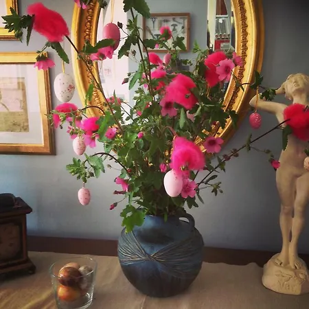 D'oc D'or D'hôtes Murviel