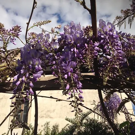 Couette-café D'oc D'or D'hôtes Murviel